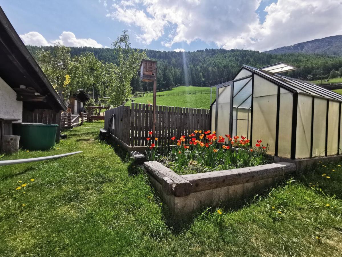 Bio-Bauernhof Mairinghof-Paris Villa Силандро Екстериор снимка